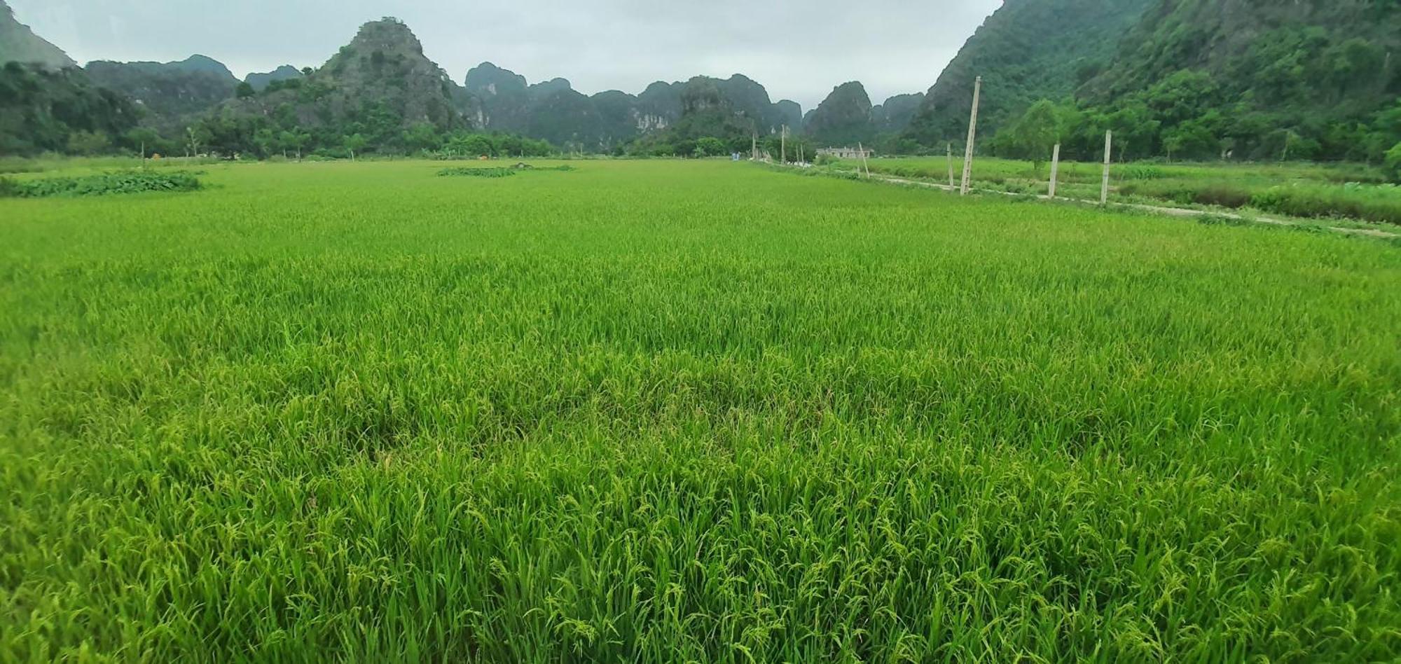 Trang An Moon Garden Homestay Ninh Binh Exterior photo